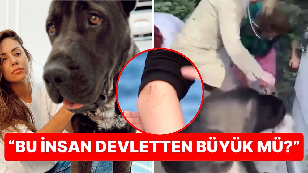 Banu Parlak'ın Köpeği Tarafından Saldırıya Uğrayan Kardeşlerden Aramızda Kalmasın Programında Şok İtiraflar!