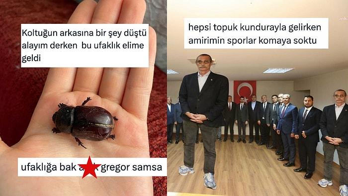 Edebi Gönderme Yaparak Güldürenlerden Erdal Beşikçioğlu'nun Spor Tarzına Son 24 Saatin Viral Tweetleri
