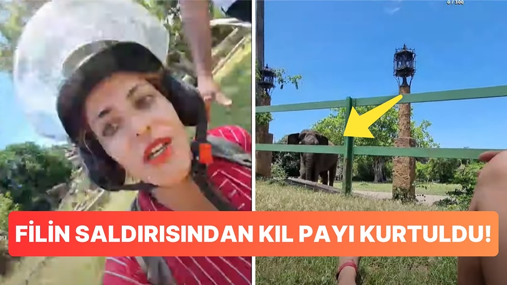 Canlı Yayında Fil Saldırısına Uğrayan Yayıncı Paçayı Zor Kurtardı