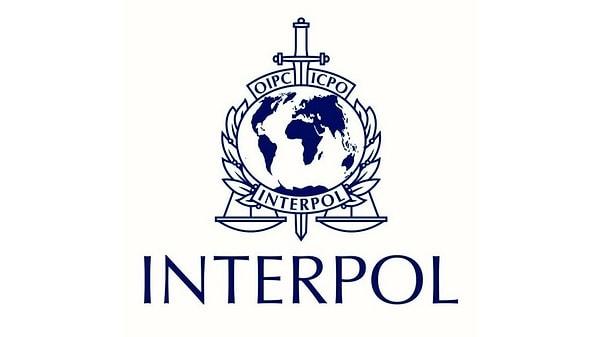 8. Interpol