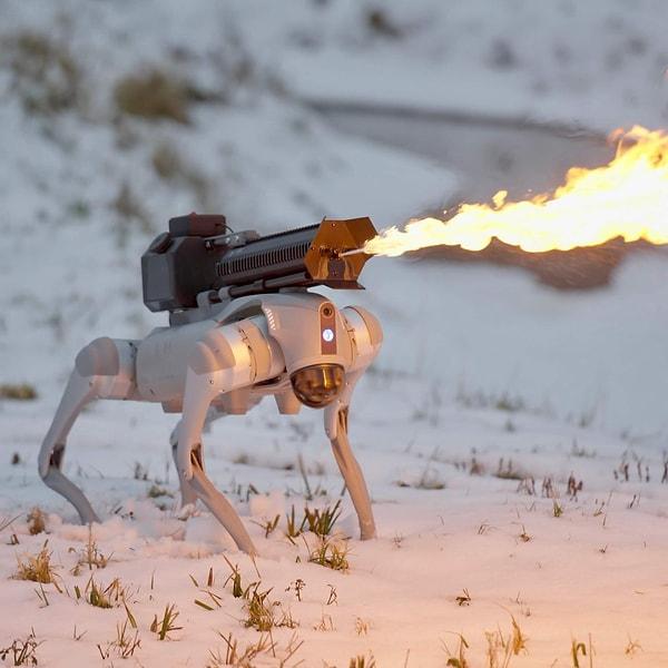 Dünyanın ilk alev silahı kullanan robot köpeği olarak bilinen bu robot ilk kez geçtiğimiz yaz duyurulmuştu.