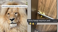 Islak Saç Probleminden İlginç Apartman WhatsApp Yazışmalarına Son 24 Saatin Viral Tweetleri