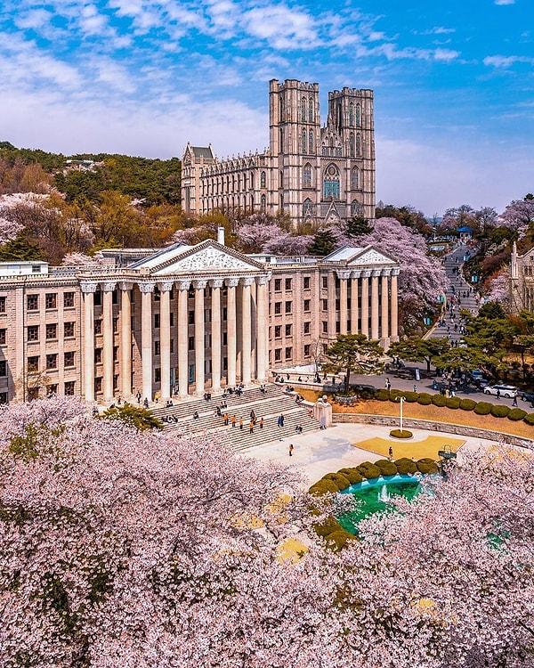 1. Sakura çicekli bahçesiyle gün batımındaki bulutları anımsatan Güney Kore'nin Kyung Hee üniversitesi.