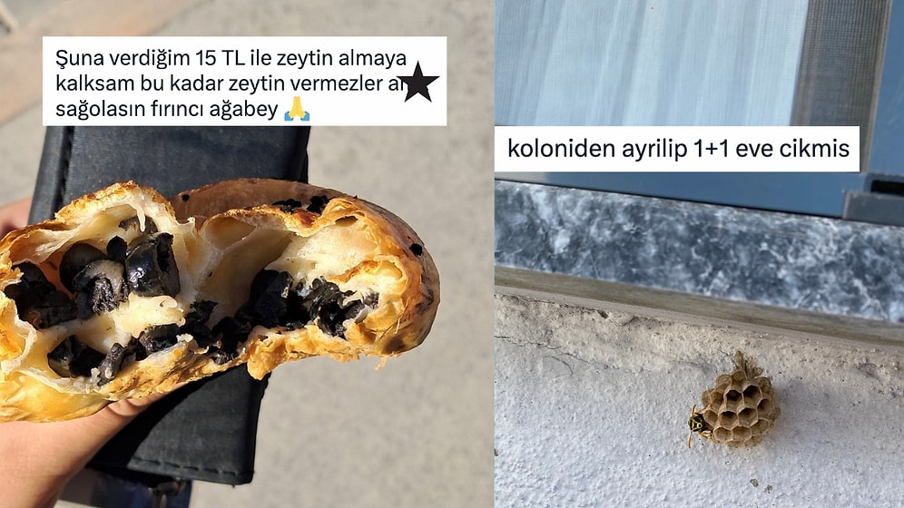 Gönlü Bol Fırıncıdan Koloniden Ayrılıp Stüdyo Kovana Çıkan Arıya Son 24 Saatin Viral Tweetleri