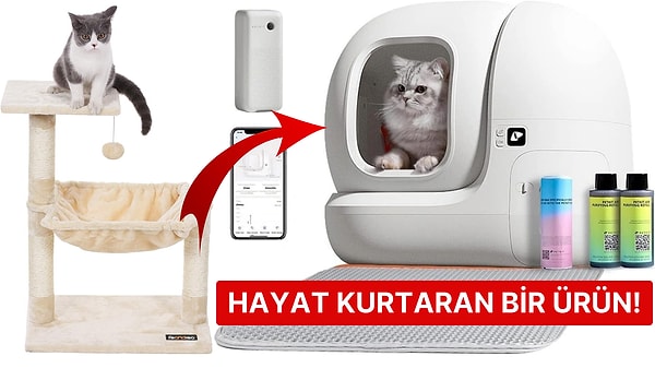 İndirim onların da hakkı! Mama, oyuncak, araba matı, kedi evi gibi oldukça kullanışlı birbirinden kaliteli indirimli ürünleri aşağıdaki içerikte derledik.