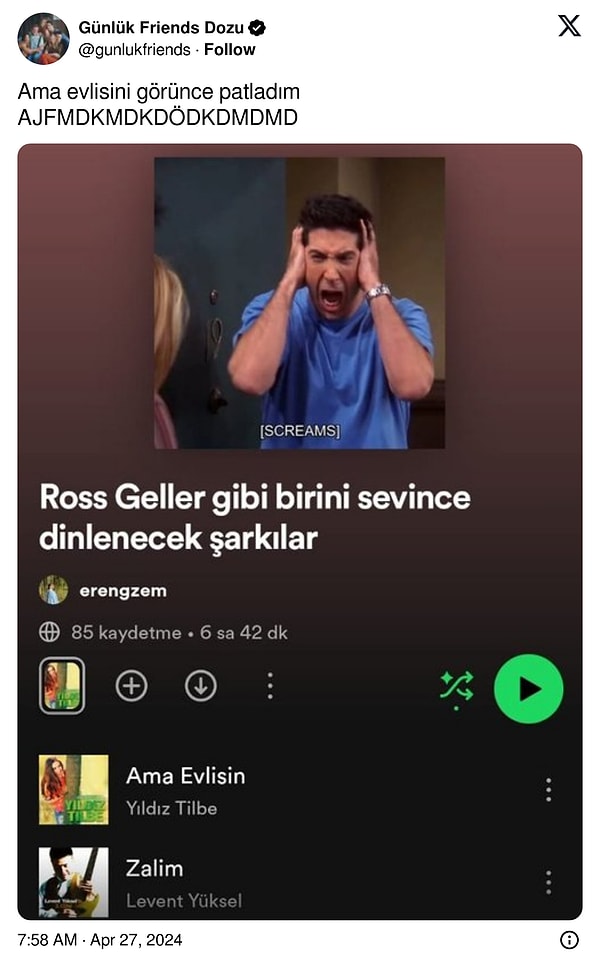 10. Ross Geller'dan başka türlüsü beklenemezdi...