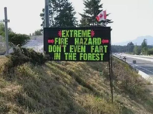 13. "Aşırı yangın tehlikesi. Ormanda osurmayın bile!"