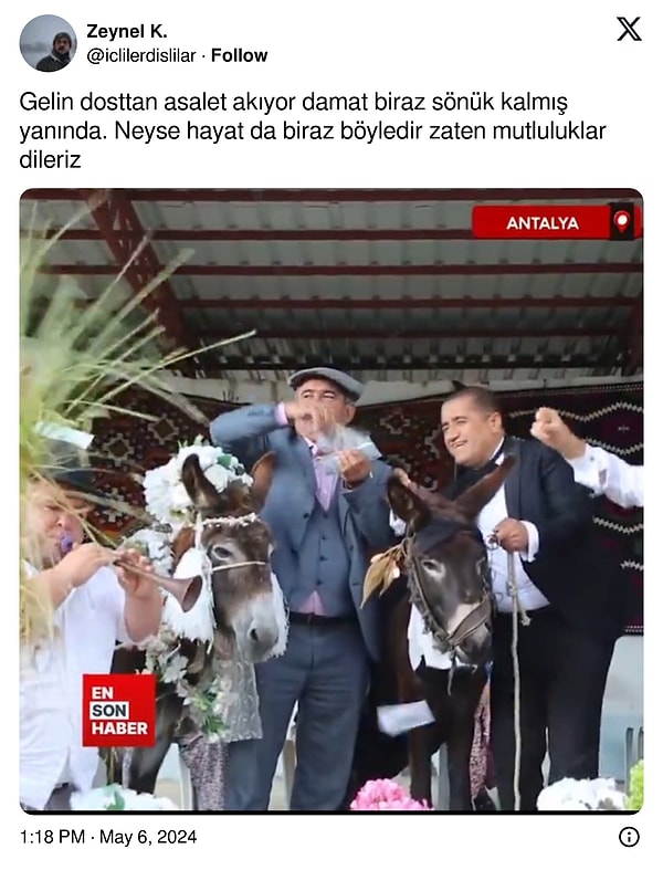 Gelin damat puanlama ata sporu.