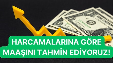 Harcamalarına Göre Maaşını Tahmin Ediyoruz!