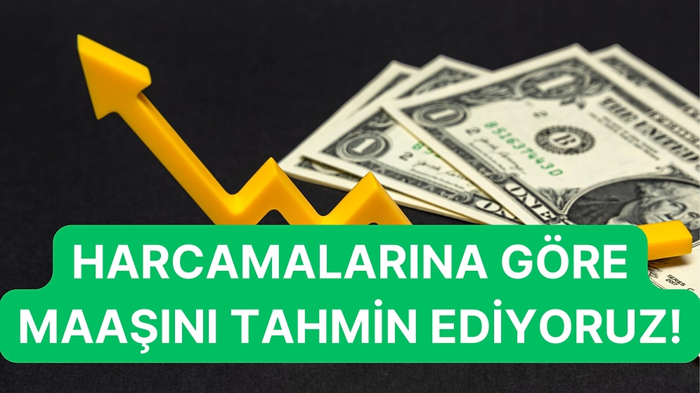 Harcamalarına Göre Maaşını Tahmin Ediyoruz!