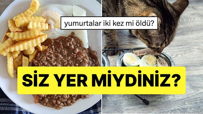 Bir Kadının Paylaştığı Yemek Fotoğrafı Kedi Mamasına Benzetilince Olanlar Oldu