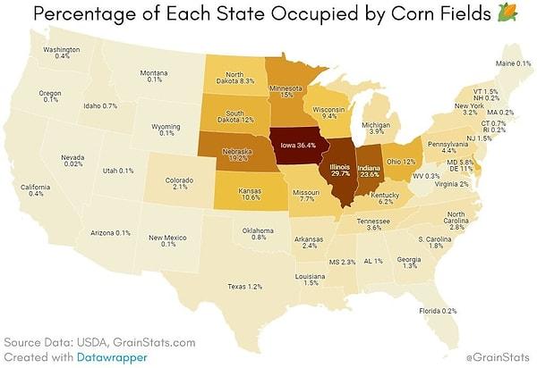 12. Amerikan eyaletlerinde mısır tarlaları.