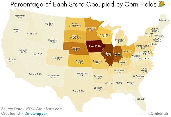 12. Amerikan eyaletlerinde mısır tarlaları.