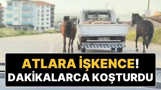 Bursa’da Tepki Çeken Görüntü: Atları Kamyona Bağlayıp Kilometrelerce Koşturdu