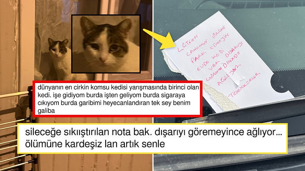 Dışarıyı Göremediğinde Ağlayan Kedinin Masum Bakışlarını Görünce Siz de Gözyaşlarınızı Tutamayacaksınız