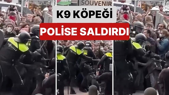 Amsterdam’da Polis İsrail Karşıtı Protesto Yapan Göstericilere Müdahale Edeceği Sırada K9 Köpeği Polisi Isırdı