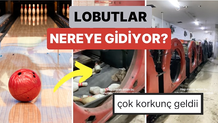 Birçok Kişinin Merakı Giderildi: Bir Çalışan 'Bovling'de Devrilen Lobutların Nereye Gittiğini Gösterdi