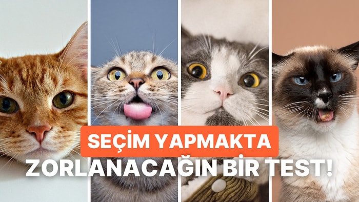 Kedi Seçimlerine Göre Karakterini Analiz Ediyoruz!