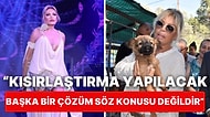 Süperstar Ajda Pekkan'dan Sokak Hayvanları Çağrısı:"Belediyeler Görevini Yapmadığı İçin Onları Öldüremezsiniz"