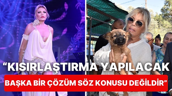 Süperstar Ajda Pekkan'dan Sokak Hayvanları Çağrısı:"Belediyeler Görevini Yapmadığı İçin Onları Öldüremezsiniz"