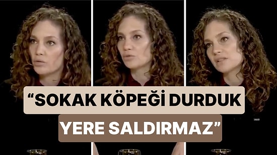 Nevşin Mengü Tepki Çeken Sokak Hayvanları Kararı Hakkında Konuştu: "Sokak Köpeği Durduk Yere Saldırmaz"