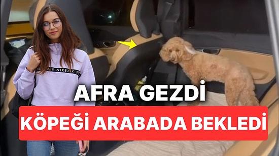 Arkadaşlarıyla Eğlenmeden Dönen Afra Saraçoğlu'nun Köpeğinin Arabada Beklediği Anlar Dikkat Çekti