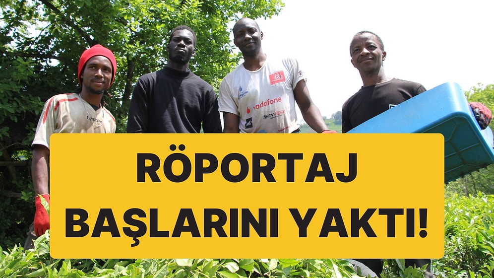 Röportaj Başlarını Yaktı: Çay Toplayan Afrikalı İşçiler Sınır Dışı Edilecek