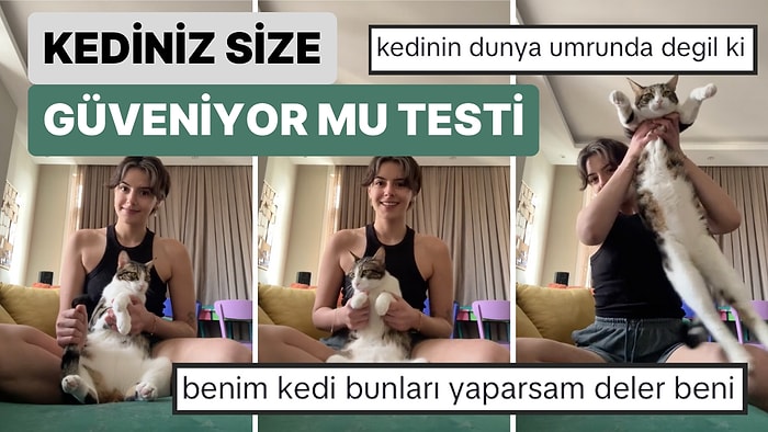 İnsan Dostunun "Kedinizin Size Tamamen Güveniyor mu?" Testini Uyguladığı Kedinin Sevimli Anları