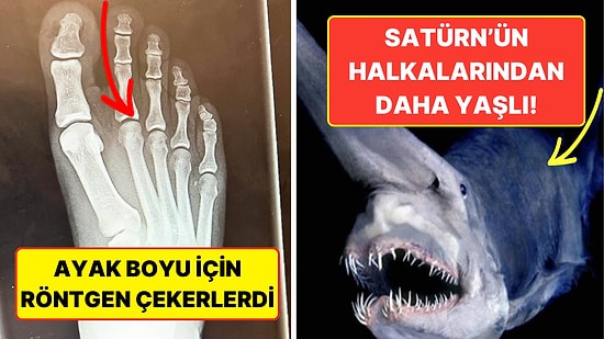 Duyunca Kulaklarınıza İnanamayacağınız 11 Tarihi Gerçek Sizi Çok Şaşırtacak