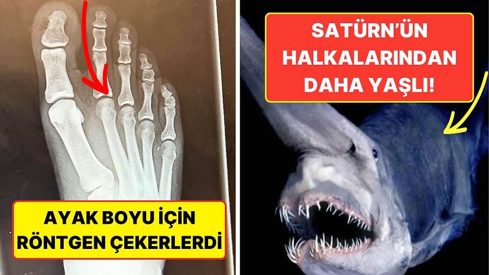 Duyunca Kulaklarınıza İnanamayacağınız 11 Tarihi Gerçek Sizi Çok Şaşırtacak