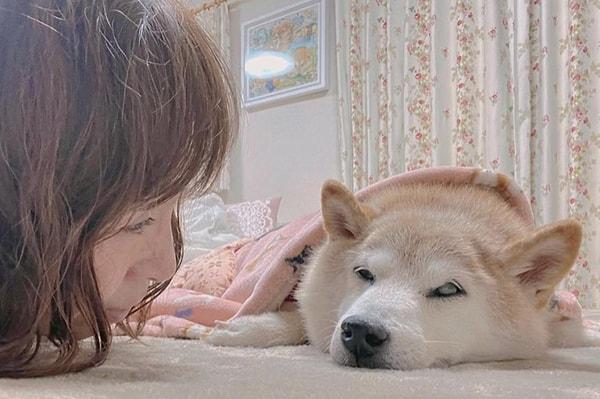 2022 yılından bu yana lösemi tedavisi gören 18 yaşında olan Kabosu'nun sahibi Atsuko Sato, sosyal medya hesabından köpeğinin 24 Mayıs sabahı hayatını kaybettiğini açıkladı.