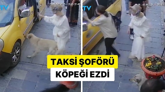 Taksi Şoförünün Kaldırımda Yatan Köpeği Ezmesiyle Ortalık Karıştı: Çevredeki Hayvanseverler Tepki Gösterdi