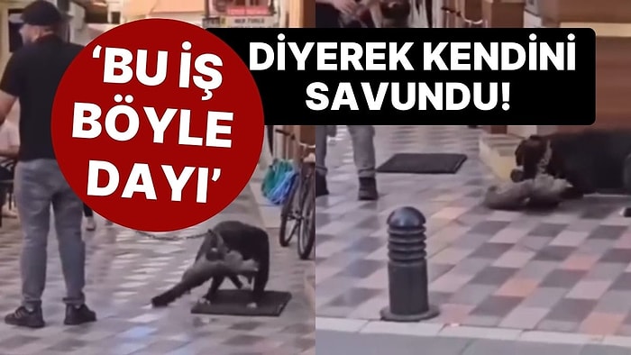 Yasaklı Irk Köpeğine Sokak Ortasında Kediyi Boğdurdu, Tepki Gösterenlere 'Bu İş Böyle Dayı' Dedi