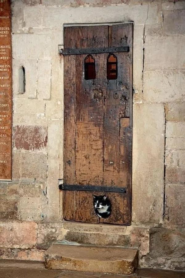 15. İngiltere'deki Exeter Katedrali'nde bulunan 14. yüzyıldan kalma bu kapının, var olan en eski kedi kapağı olduğu düşünülüyor.