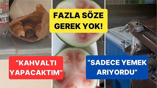 Çöle Düşse Kutup Ayılarıyla Karşılaşıp Birtakım Tatsız Olaylar Yaşayabilecek Bahtsız Kişiler