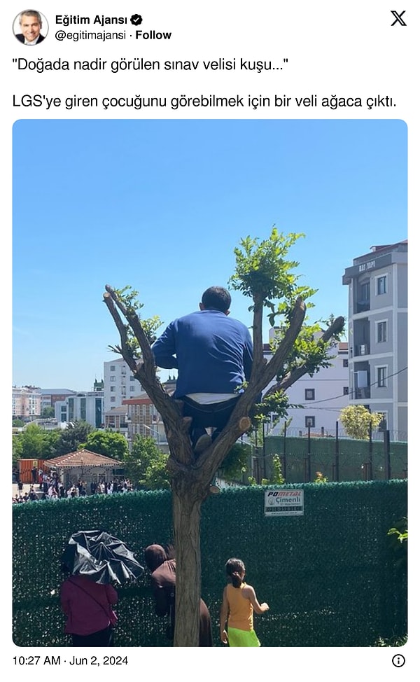 Her sene bu zamanlarda gerçekleşen o doğa olayı.