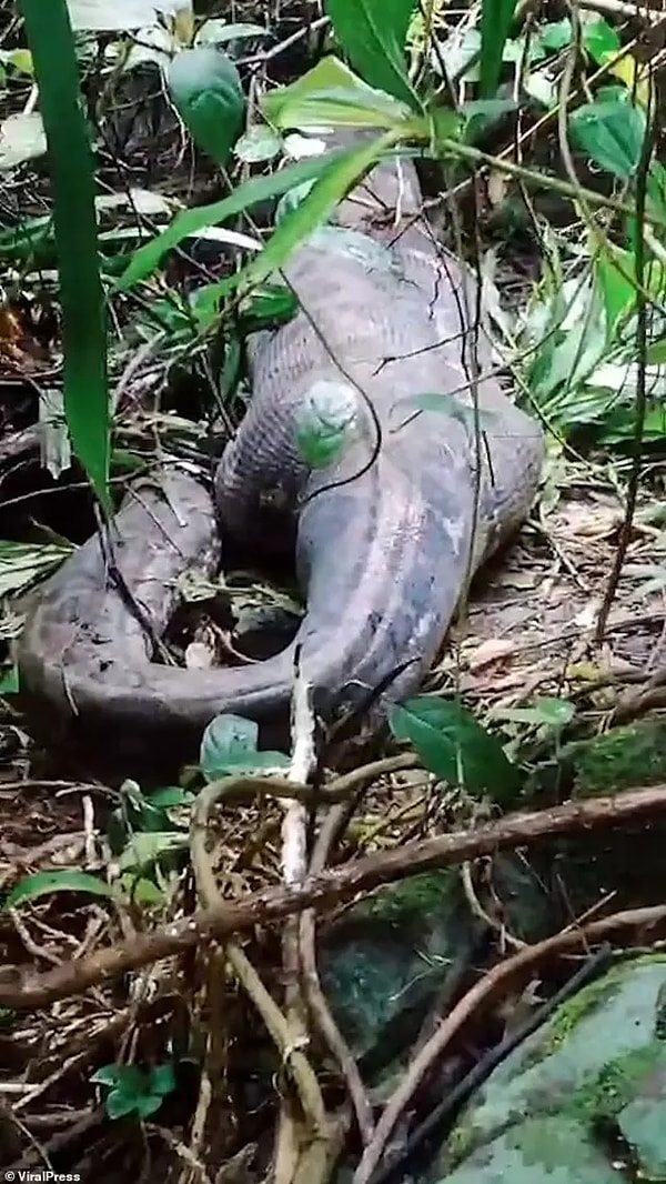 Kadının eve dönmemesi üzerine akrabaları ve köy sakinleri, arama çalışmalarına başladı.