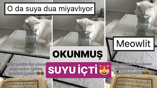 Bir Kedi Mevlit Sırasında Dua Okunan Suyun Tadına Bakmak İsteyince Kısa Bir Panik Yarattı