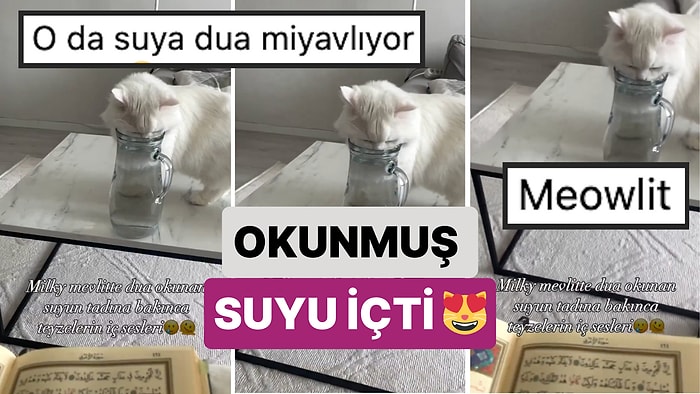 Bir Kedi Mevlit Sırasında Dua Okunan Suyun Tadına Bakmak İsteyince Kısa Bir Panik Yarattı