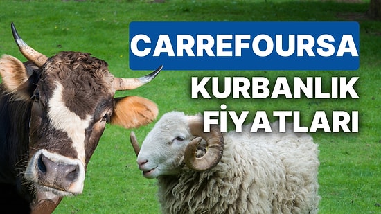 CarrefourSA Kurbanlık Fiyatları Ne Kadar? İşte Carrefour Büyükbaş, Küçükbaş, Bağış Kurbanı Fiyatları