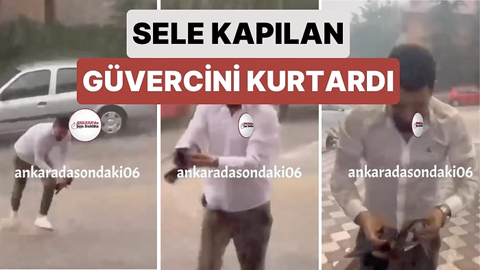 Ankara'da Bir Vatandaş Sele Kapıldığını Fark Ettiği Bir Güvercini Hızlı Bir Müdahale ile Kurtardı