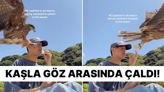 Japonya’da Korkutan Anlar: Sandviç Yemek İsteyen Gence Yırtıcı Kuştan Gasp