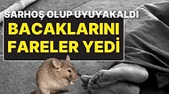 Sarhoş Olup Bir Ahırda Uyuyakalan Kadının İki Bacağını da Fareler Yedi!