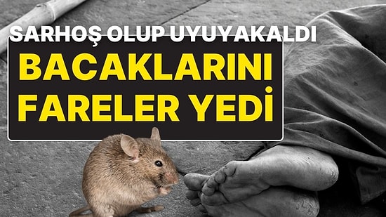 Sarhoş Olup Bir Ahırda Uyuyakalan Kadının İki Bacağını da Fareler Yedi!
