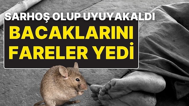 Sarhoş Olup Bir Ahırda Uyuyakalan Kadının İki Bacağını da Fareler Yedi!