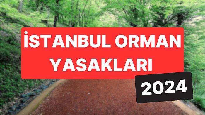 İstanbul Orman Yasakları 2024: Belgrad Ormanında Mangal, Piknik Yasak mı?
