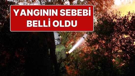 Tarım Bakanı Yangınların Kontrol Altına Alındığını Açıkladı: Sigara İzmaritinden Çıkmış!