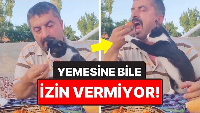 Kedisiyle Birlikte Ekmek Banarak Menemen Yiyen Adamın O Anları Gözlerden Kalp Fışkırttı