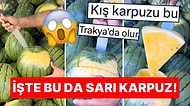 Dışı Tıpkı Kırmızı Karpuz Gibi Ama İçi Sarı: Daha Çok Trakya'da Popüler Olan Sarı Renkli Kış Karpuzu