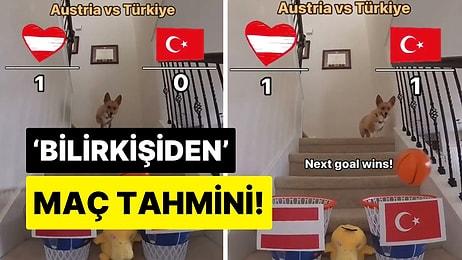 Maç Öncesi Tahmin Videoları Çeken Tatlı Köpekten Türkiye-Avusturya Maçına “2-1” Yorumu